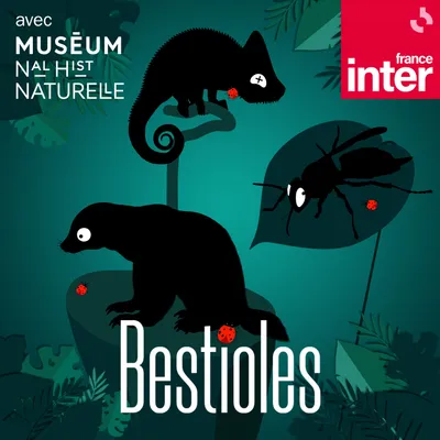 Les bestioles